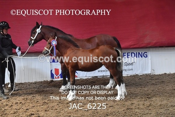 JAC_6225 - 17 Avonmore Little Maeda