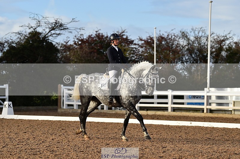 231104A-145104-02181 - Cls 13 Adv Medium 91