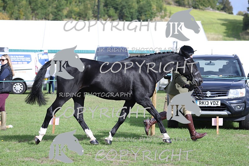 APP_2580 - Class 9 Veterans in hand