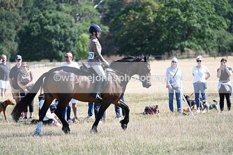 WJ7_3899 - Class 9 Mountain & Moorland Ridden