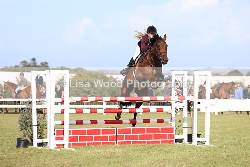 3E7A4448 - Class C: Showjumping Senior Foxhunter