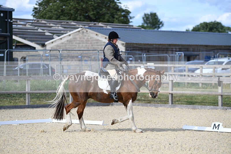 WJ5_8262 - Time 17:25 to 17:47