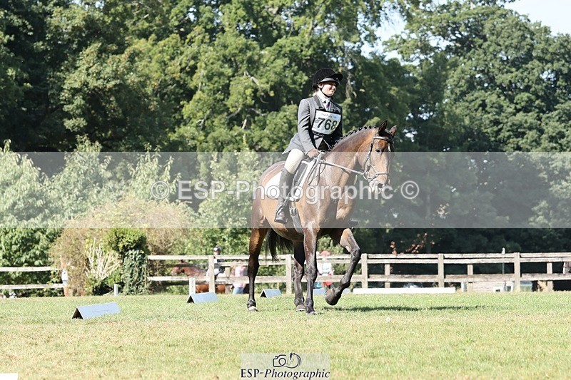 250823A-111323-27914 - Arena D