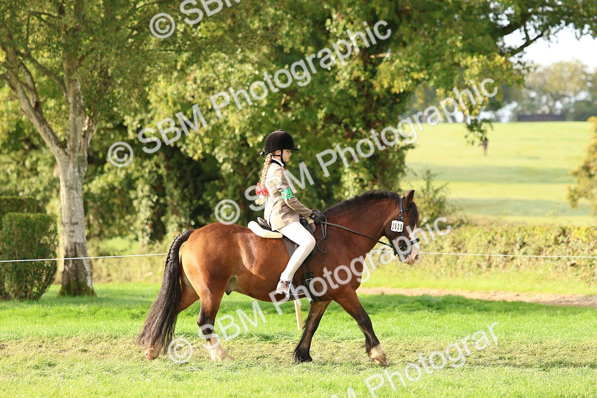 SBM_56534 - S40 - Starters Ridden Showing