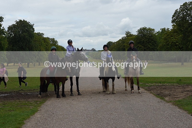 TT3_9940 - Time at Crossing 11:28 to 13:16