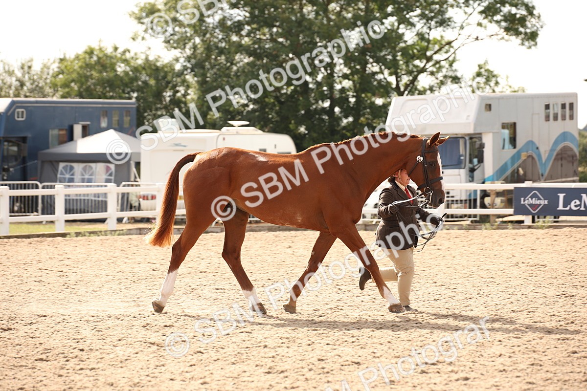 SBM_08159 - Class 27 - IH Competition Horse-Pony