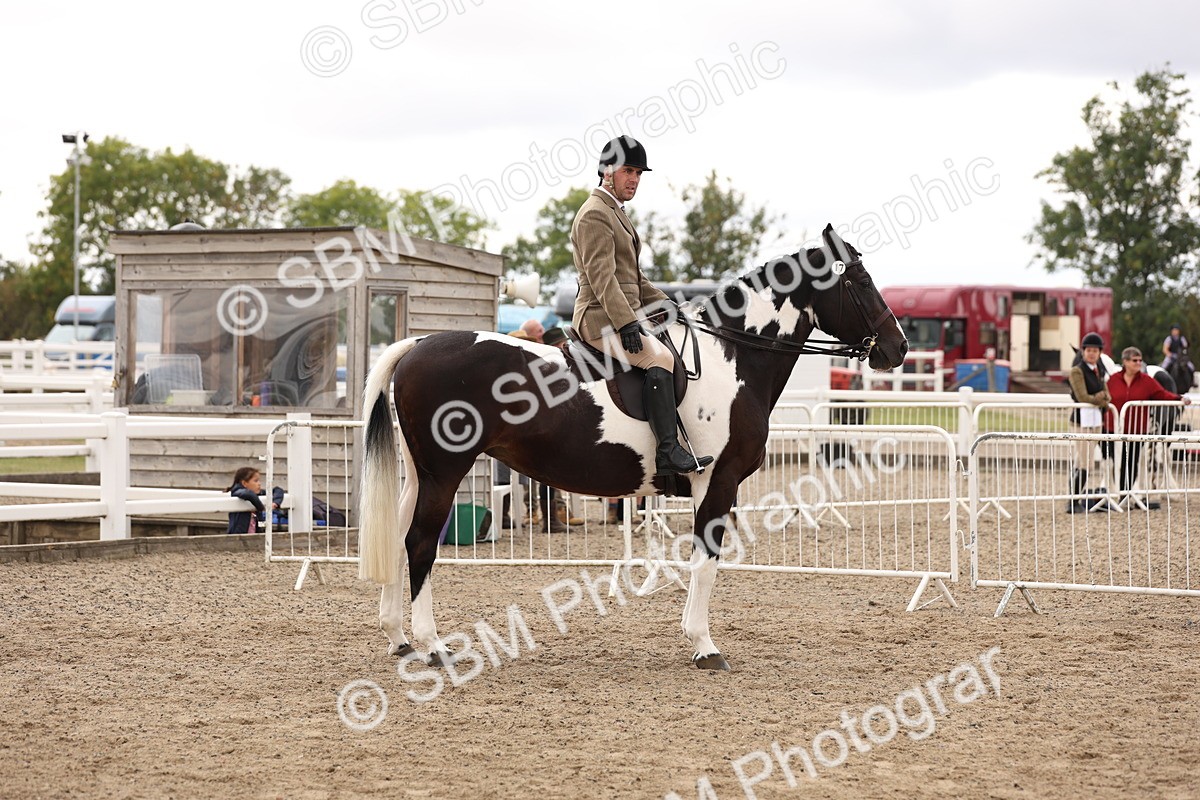 SBM_02940 - Class 53 - Ridden Competition Horse/Pony