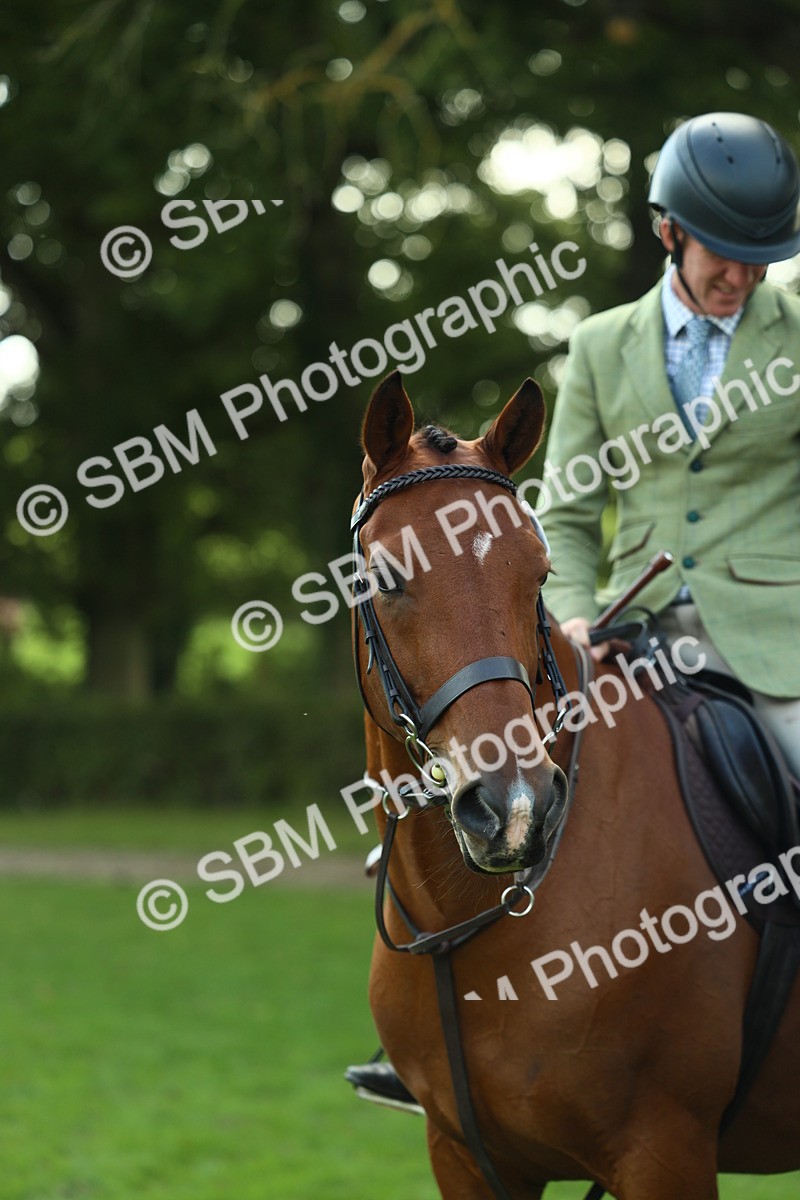 SBM_50738 - S33 - Working Hunter & Working Show Horse