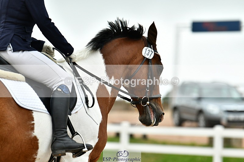 230630A-110334-01265 - Cls 5 Novice 37A