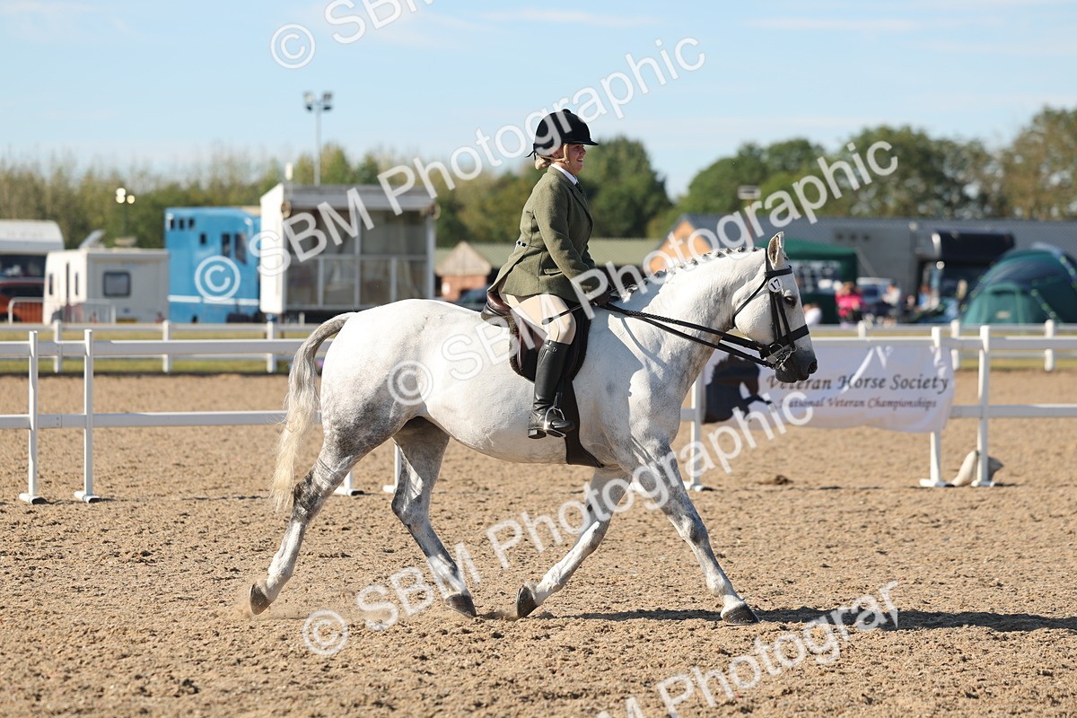 SBM_12323 - Class 304 - Ridden part Bred Horse Pony