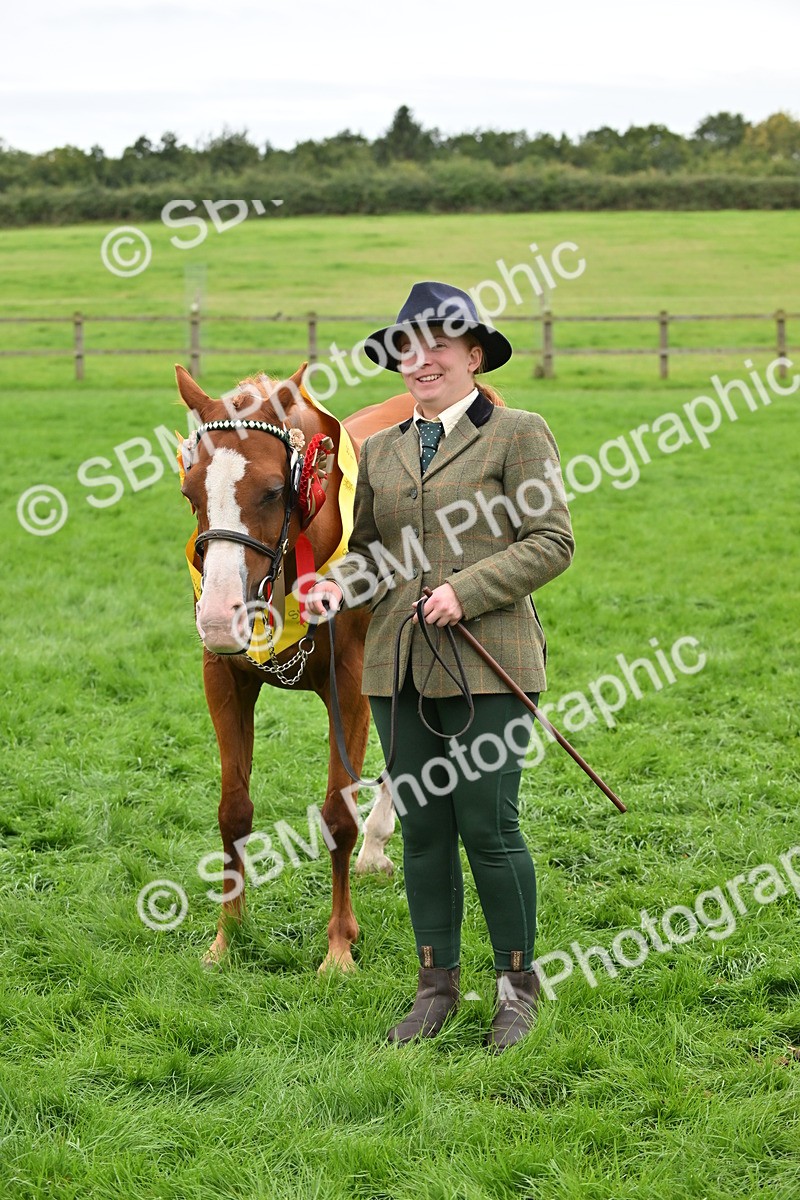 SBM_65048 - In Hand Pony & Younstock Supreme Championship