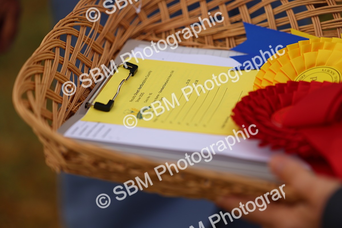 SBM_04347 - Class 64-67 - Shetland Pony In Hand