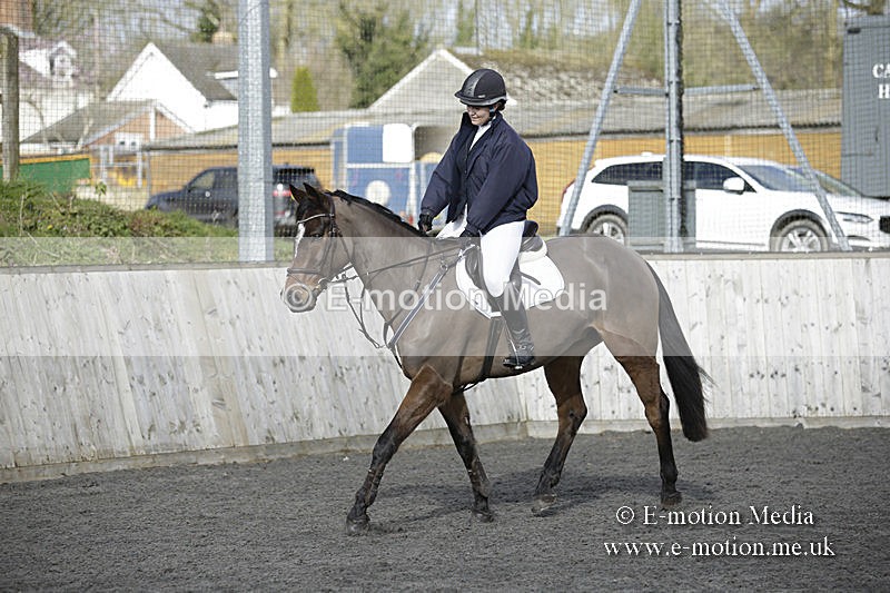 BVRC 050320 0083 - Bourne Valley riding Club Show Jumping Tidworth 08/03/20