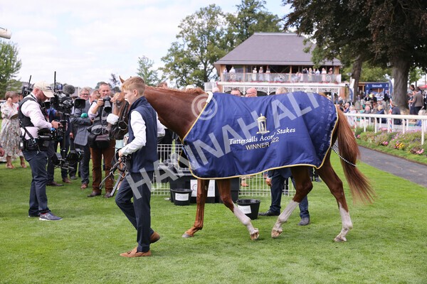 yr17082022r2-41 - Race 2 2.25pm Tattersalls Acomb Stakes