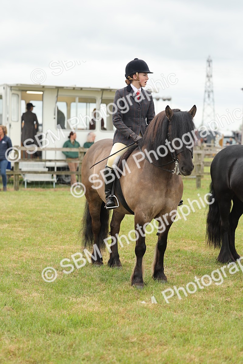 SBM_09010 - Class 78-80 - Ridden M&M Non Welsh Ponies