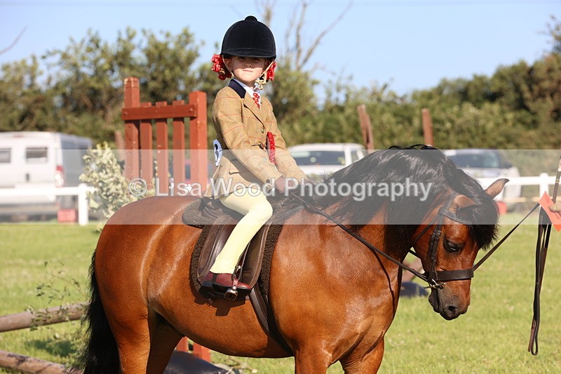 JPP_0879 - Class 16: Cornish Combination Leading Rein