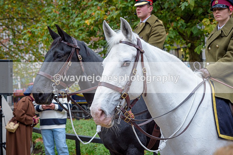 NGP_8181 - 2024 Animals in War Remembrance Gathering