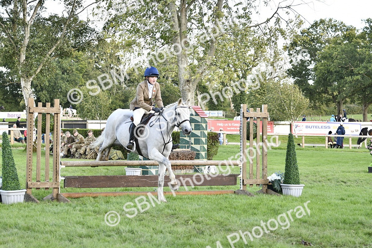 SBM_52148 - S35 - Working Hunter & Working Show Horse
