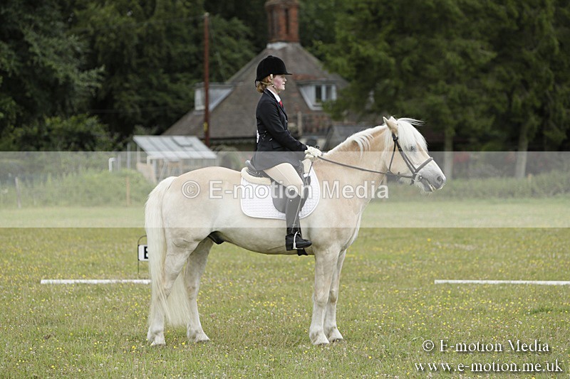 BVR160717-1221 - Class 2 Dressage 16/07/17