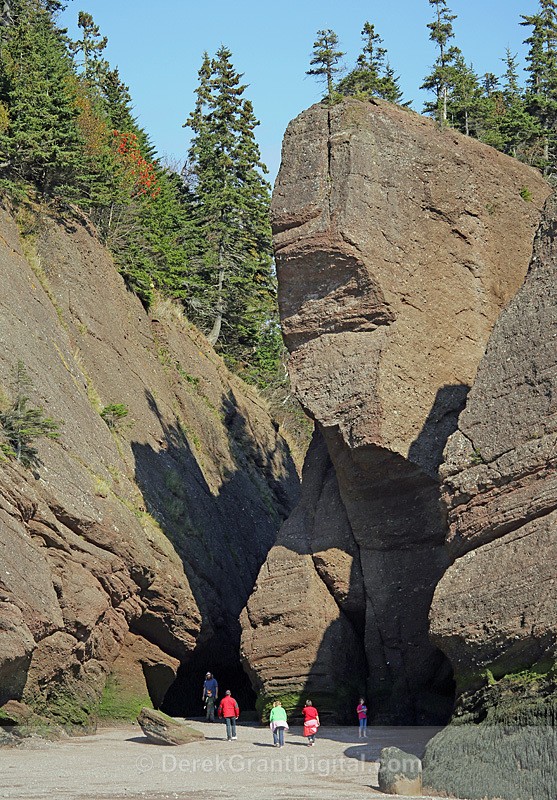 Hopewell Rocks - The Elephant - The Rocks @ Hopewell Cape