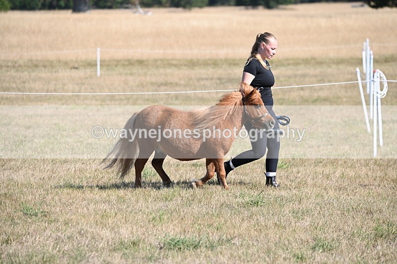 WJ6_7189 - Class 33 Rescue Pony