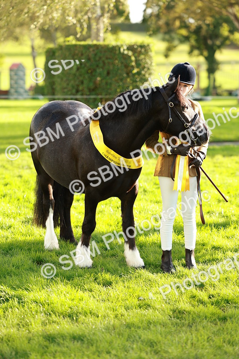 SBM_29280 - Novice & newcomer Supreme Championship