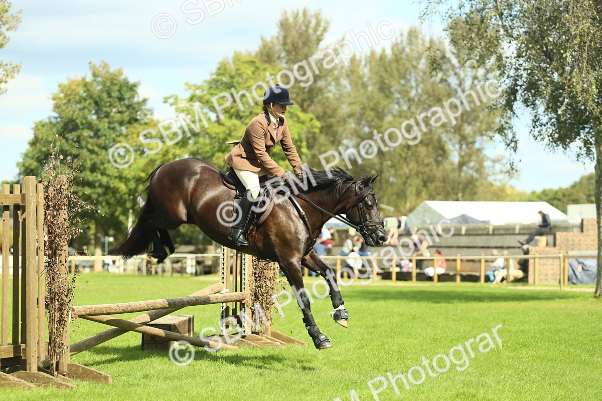 SBM_42865 - S30 - M&M Working hunter Pony