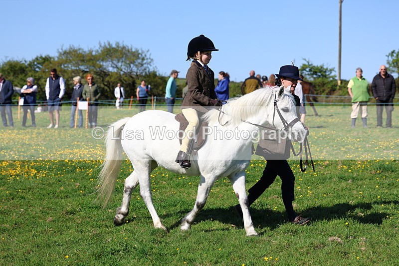 3E7A8817 - Class 2: Lead rein