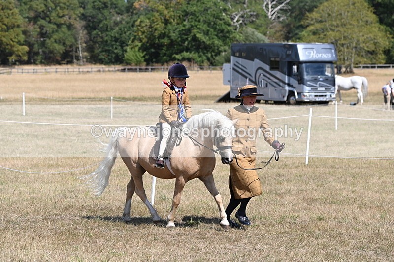 WJ6_9147 - Championship Classes 33-38
