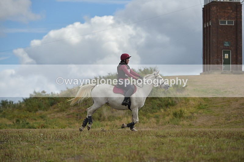 NGP_1193 - XC Time 10:38 to 10:51