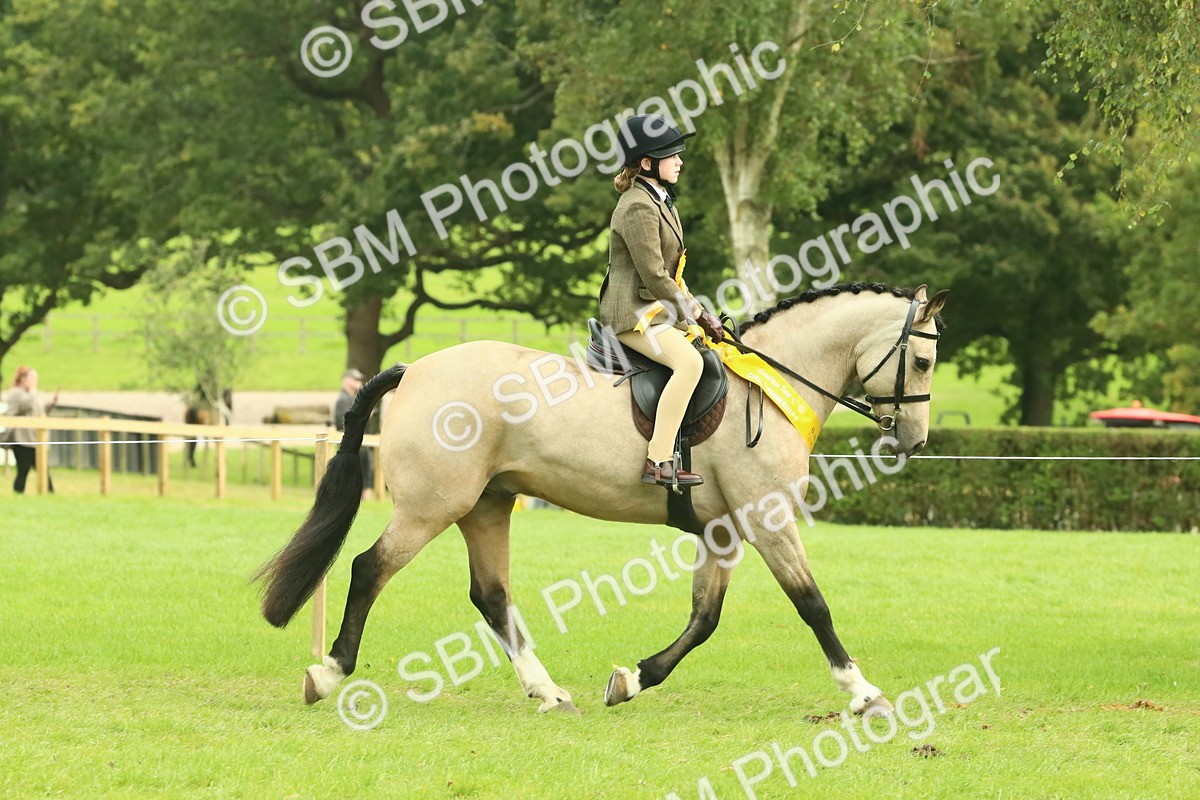 SBM_74993 - Ridden Pony Supreme Championship