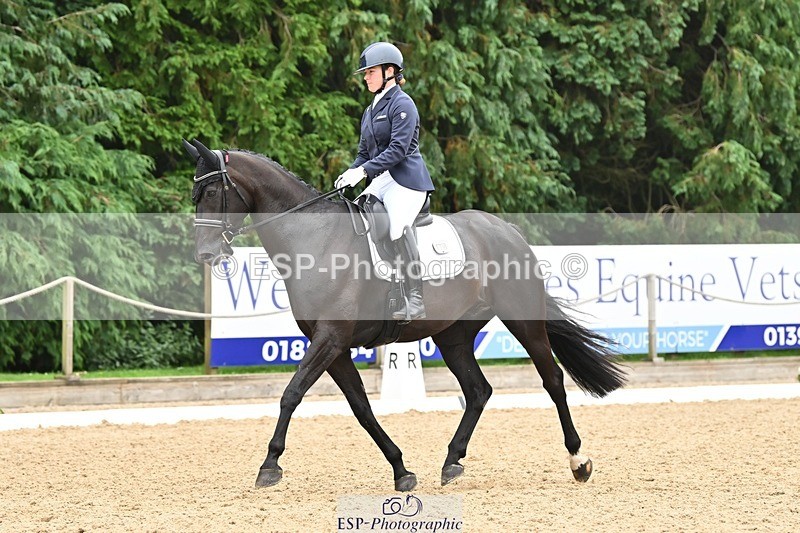 240811-115745-05308 - 118-Katie.Kneen-Springtime.Evergreen