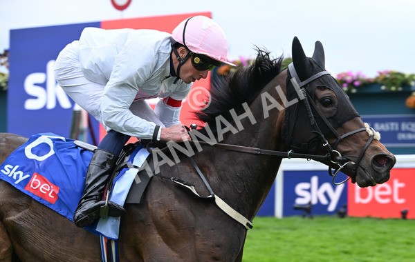 230825-137 Ethical Diamond - Race 4 3.35pm Sky Bet Ebor Handicap
