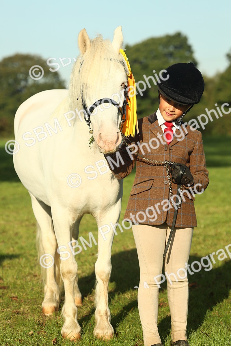 SBM_58517 - S37 - Starters In Hand Showing