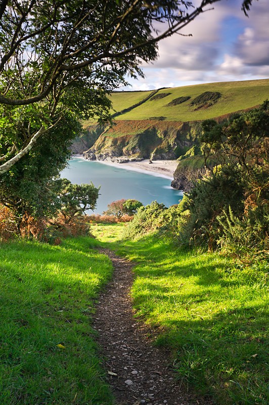 Follow the path....... - Cornwall