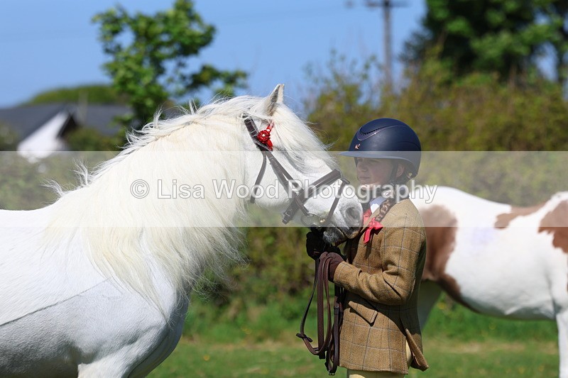 3E7A9894 - Class 17: Young Handler