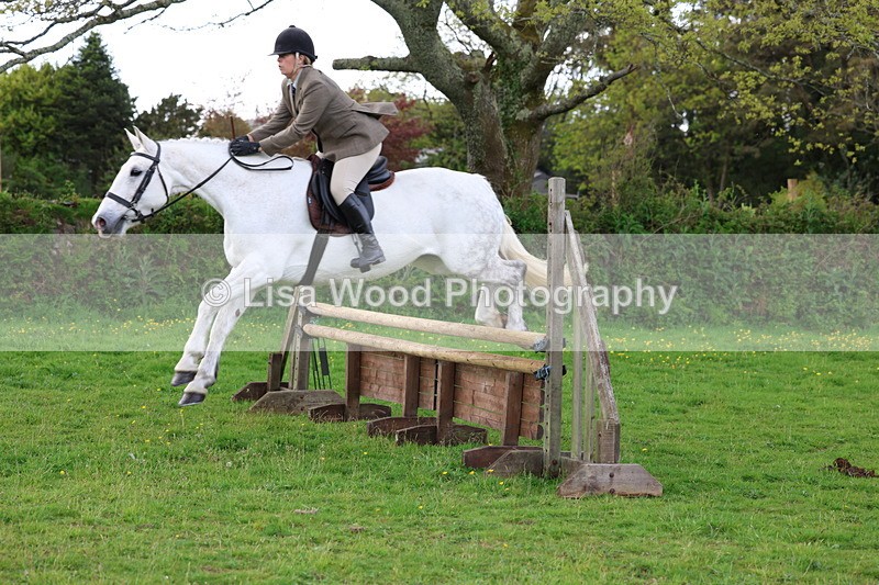 3E7A2563 - Classes 30 and 31: 80cm Working Hunter