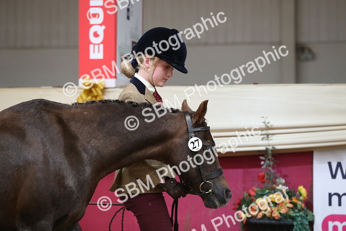 SBM_04294 - Class 7R Regional - IH Diamond