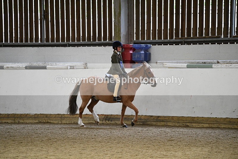 WJ5_7394 - Class 11 Ridden PC - RC Pony