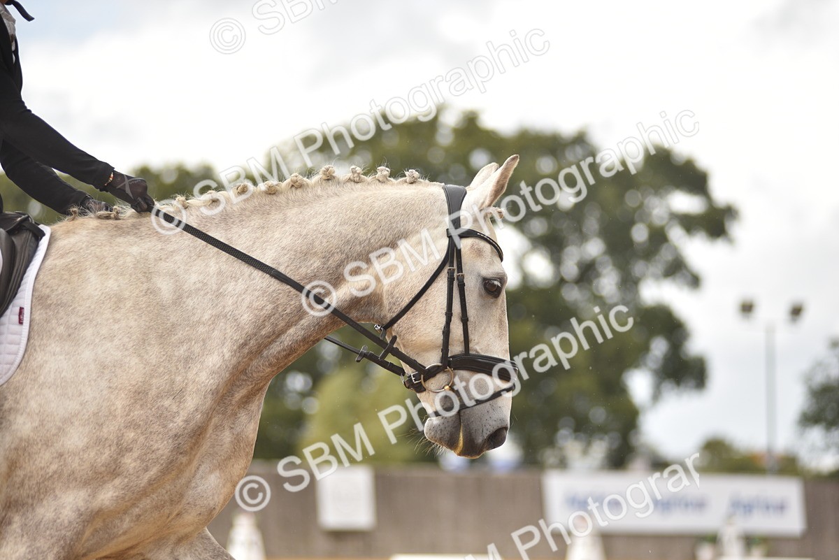 SBM_22317 - D13 - Grand Tour Championship Prelim 3
