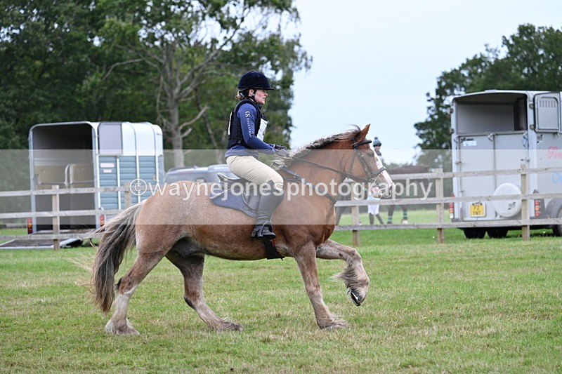 WJ7_7733 - 40cm Time 10:49 to 11:18