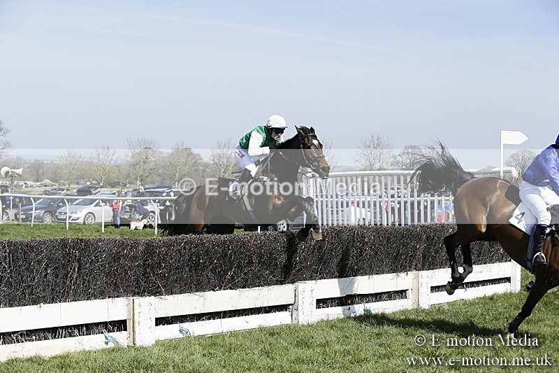 PtP 260317 99 - Mendip Farmers Point-to-Point Ston Easton 26/03/17