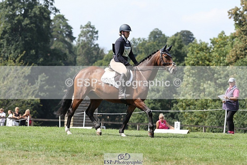 250823A-140131-31430 - Arena D