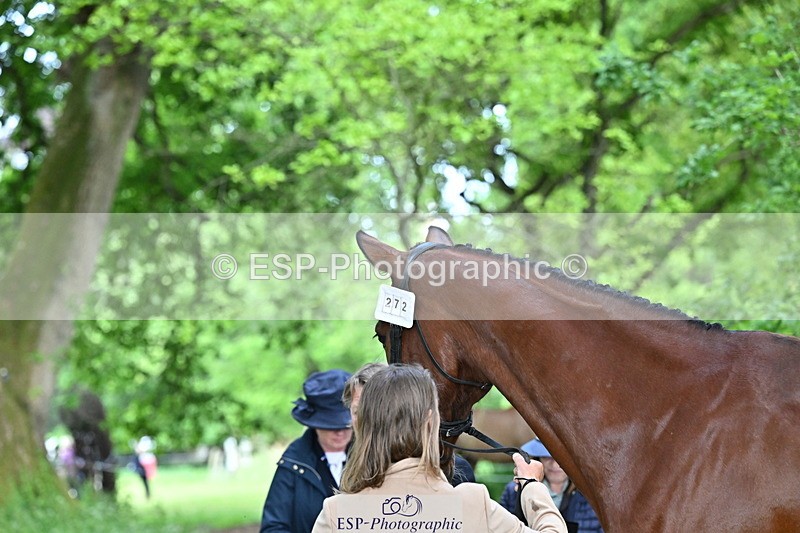 250521A-165514-01401 - C-272-Louisa.Lockwood-KILCANNON.OREO