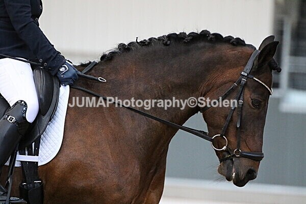 SIAL0523 - GDG Bogenraith Friday 26th Sept 2025