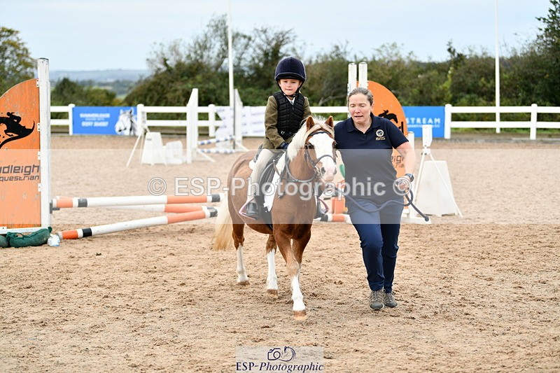 241013B-105500-00502 - Cls 2c 40cm Lead Rein