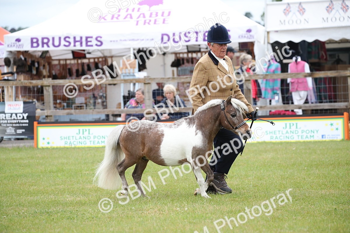 SBM_03740 - Class 23-25 - British Miniature Horse of the Year