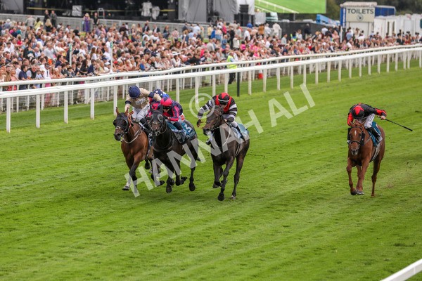 260724-Race 2-Churchella-3986 - Race 2 6.05pm Pearly Cow Handicap