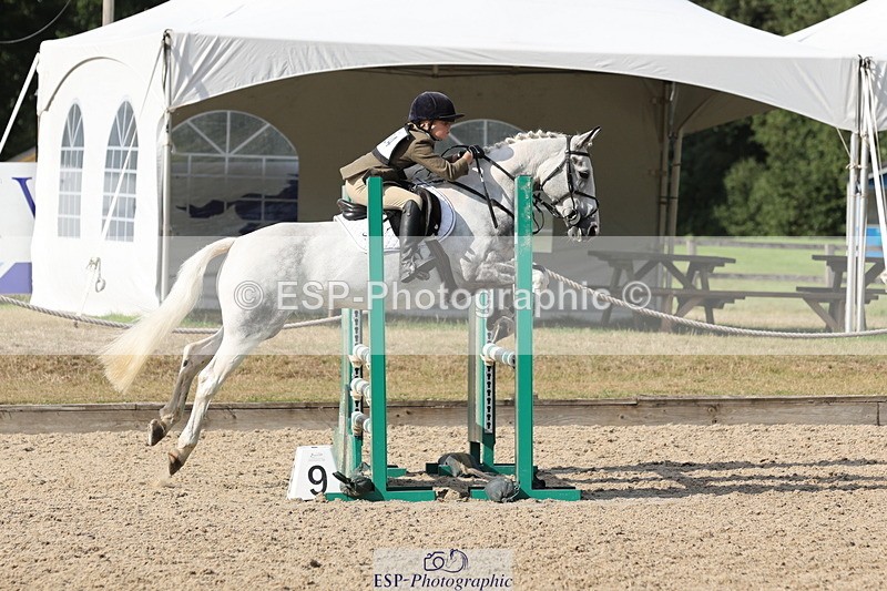 250803A-171823-17817 - R-824-Poppy.Wilkinson-DAISY.DER.BLUME