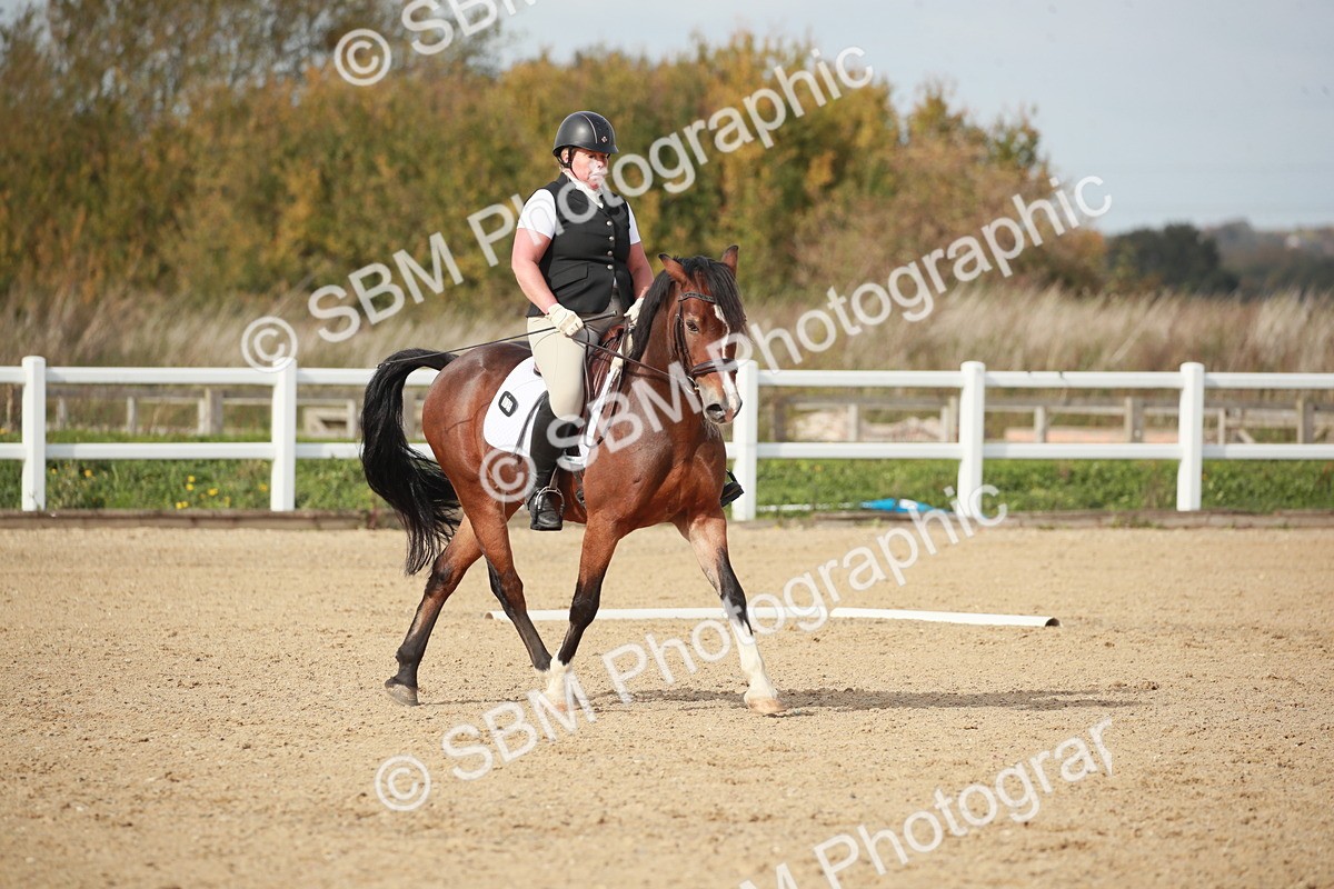 SBM_002190 - Class 6 - Elementary 5